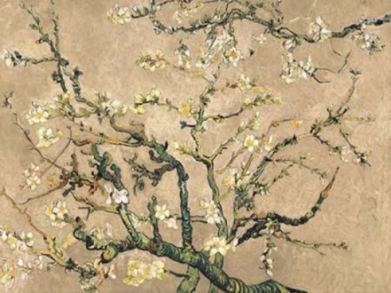 Mandorlo in fiore Poster Print by Vincent Van Gogh - Item # VARPDX3VG3107